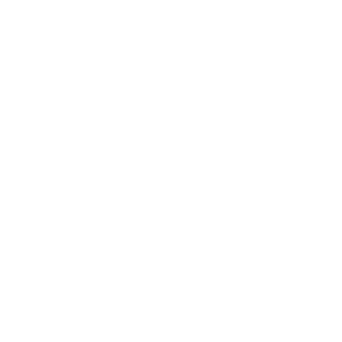 Logo Agência Bori