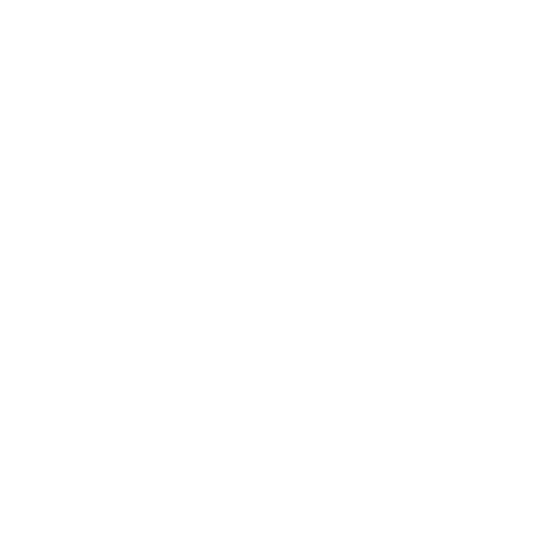 Logo Havaianas