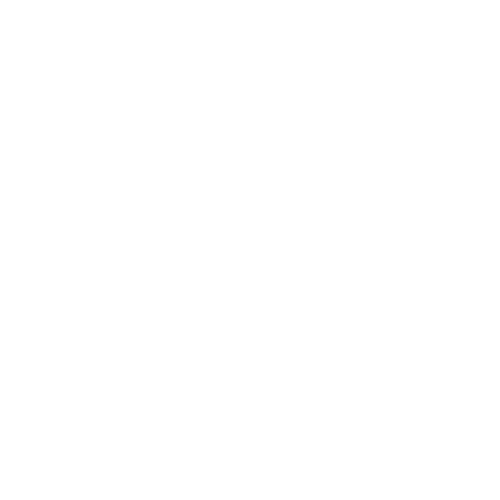 Logo Husky by Nomad